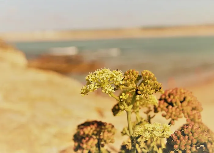 Casa Rendas By Cosycasa ペニシェ